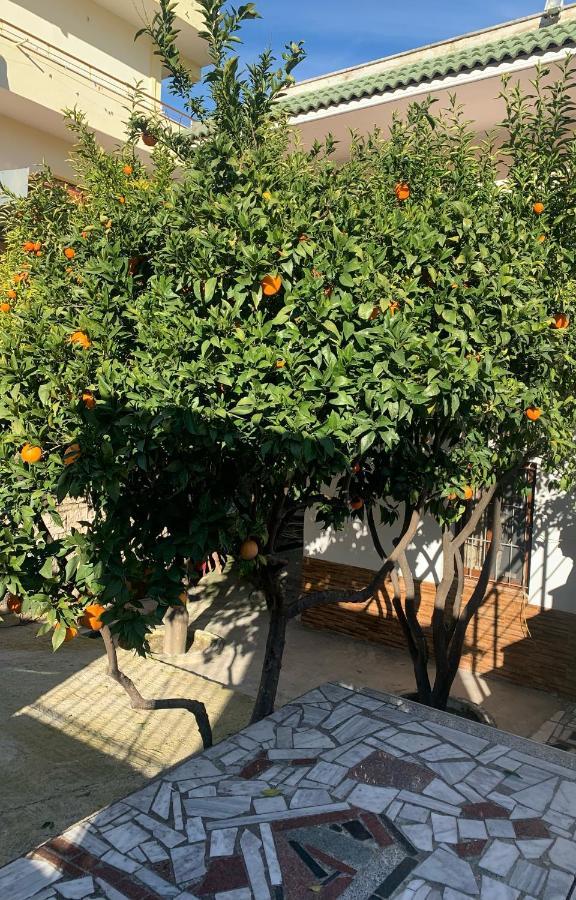 Vila Demaj! Free Parking Berat Exterior foto